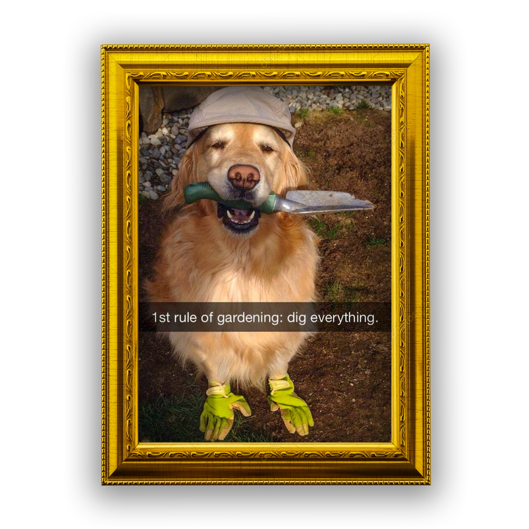 1st rule of gardening